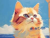 常見的通用頂級域包括哪些?分別代表什么意思?