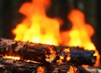 加入亞馬遜賣貨的流程總結