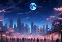 2025 年做網站 SEO 優化的意義:解鎖流量增長新密碼