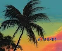 2025年國內企業如何做好網站SEO優化工作?